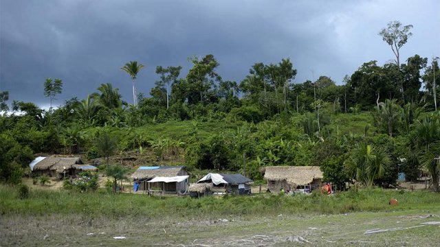В лесах Амазонки найдены живыми пропавшие дети