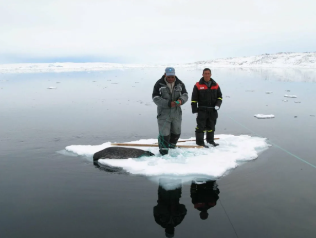 В Иркутской области рыбаков унесло на льдине на реке