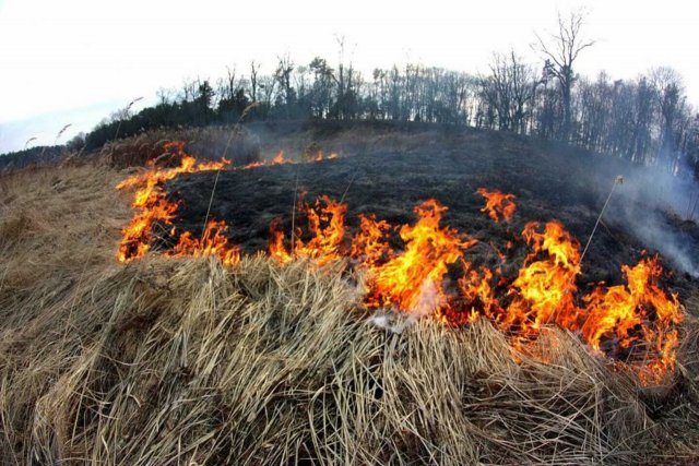 В Приморье объявлен высокий класс пожарной опасности