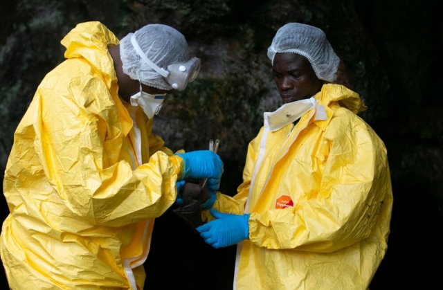 Случай заболевания лихорадкой Эбола зафиксирован в Конго