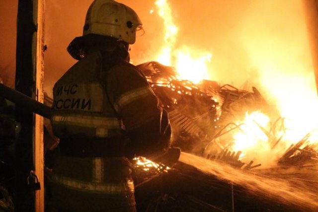 Сотрудники МЧС сообщили о более 50 крупных лесных пожарах