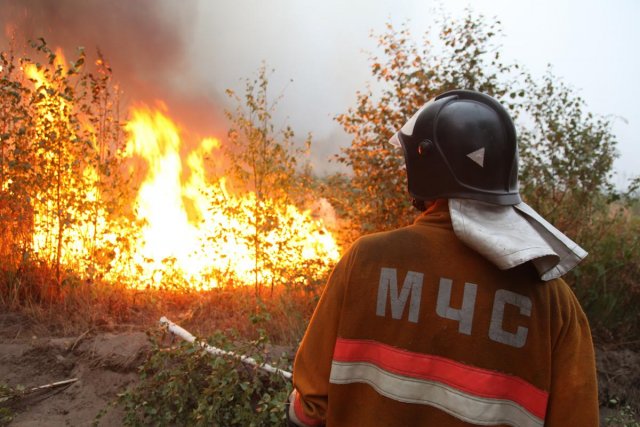 В связи с высокой пожарной опасностью в Курганской области введён режим ЧС