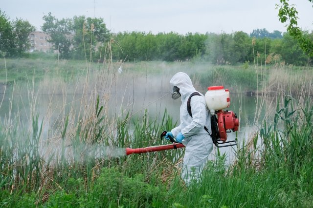 Обработка против малярийных комаров будет проведена на водоёмах Иркутска