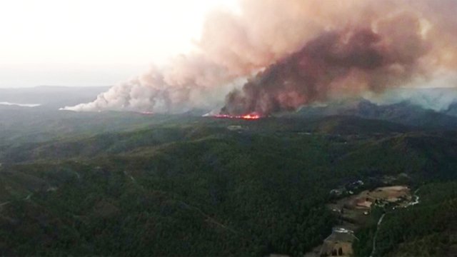 В Турции за поджоги лесов могут ввести смертную казнь