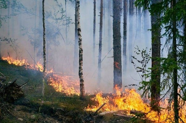 В Оренбуржье ожидается повышенный уровень пожарной опасности