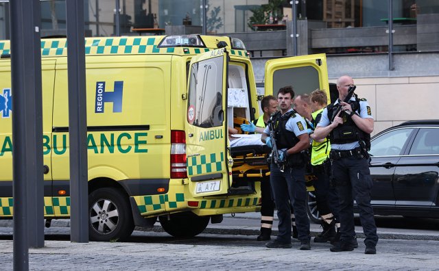 В Копенгагене подозреваемый в массовом убийстве будет помещён в психбольницу