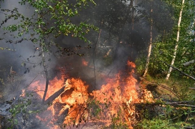 В Хабаровском крае была проведена эвакуация села из-за сильных пожаров в лесах