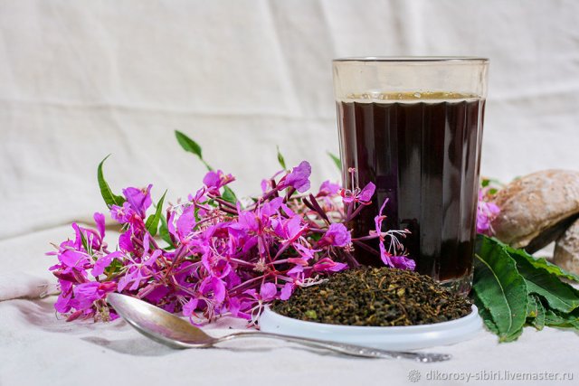 Напиток на основе иван-чая будут разрабатывать специалисты из Коми