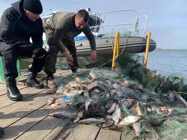 Приговор был вынесен жителям Ставрополья за незаконную ловлю рыбы
