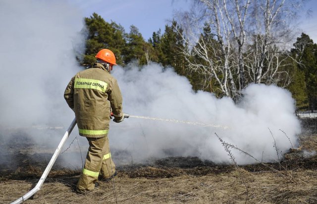 Высокий уровень пожарной опасности введён в Ульяновской области