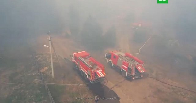 Площадь лесных пожаров продолжает расти в Рязанской области