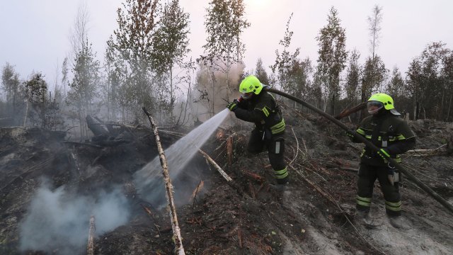 В Рязанской области сообщили о полной локализации пожаров