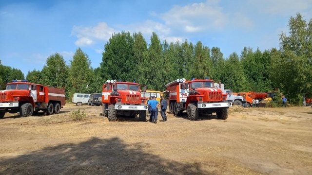 В Нижегородской области ликвидировали лесной пожар