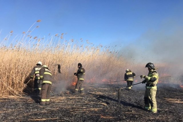 Тушение крупного природного пожара завершено в Астраханском заповеднике