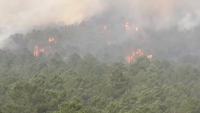 Крупные пожары вспыхнули в Корсике из-за аномальной жары