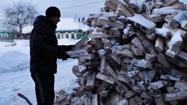 Комиссия по вопросу обеспечения жителей дровами создана в Болгарии