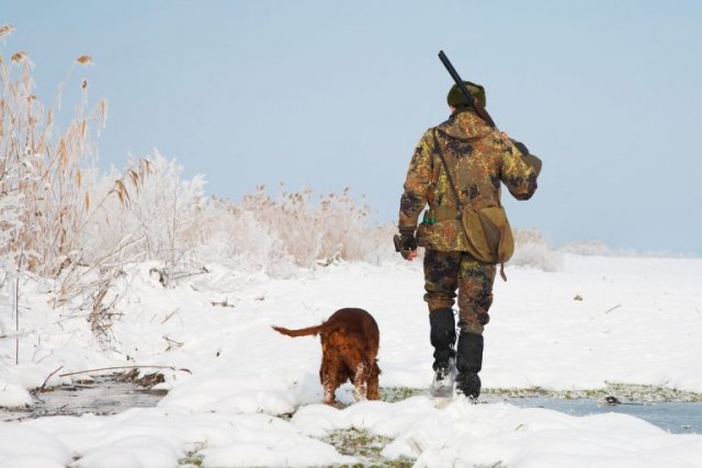 Сезон охоты на пернатых завершён в Тамбовской области