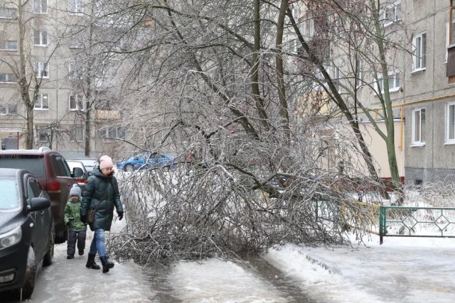 В Нижнем Новгороде из-за непогоды закрыли канатную дорогу