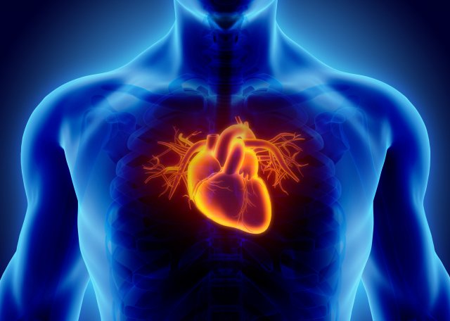 Диетолог рассказал о том, какие продукты способствуют снижению риска сердечного приступа