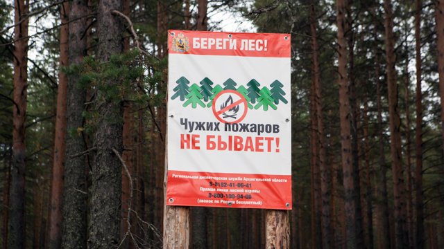 В Якутии для защиты лесов от пожаров будет дополнительно направлено около 2,5 млрд рублей