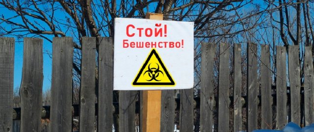 В Белгородской области обнаружен новый очаг бешенства