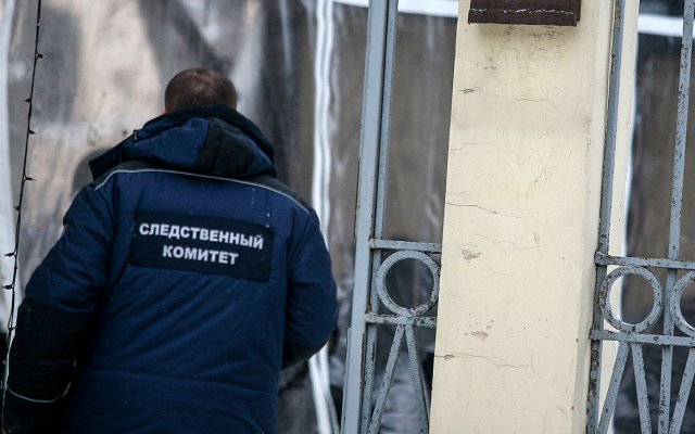 Чиновник задержан по делу о гибели ребенка после нападения стаи собак в Оренбурге