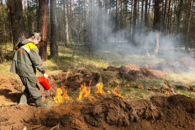 Показатели пожарной опасности значительно возросли в сравнении с прошлым годом в России