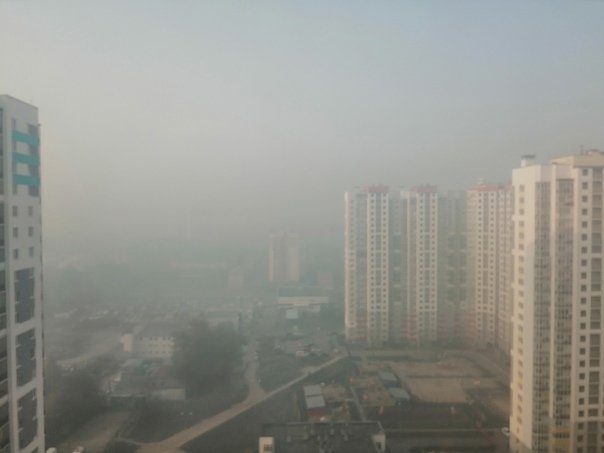 Жители Екатеринбурга пожаловались на едкий смог