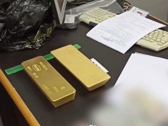 В Москве в аэропорту задержан мужчина с золотыми слитками