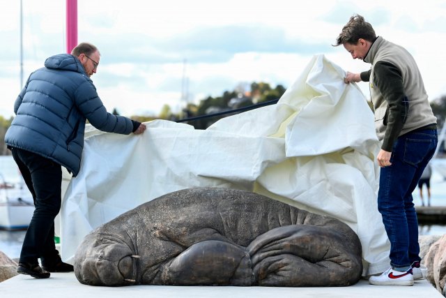 Памятник усыплённой моржихе Фрейе появился в Осло