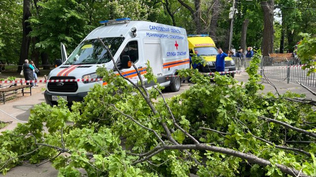 Сообщается о погибших при обрушении дерева в Саратовском городском парке