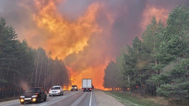 Несколько человек погибли в Хабаровском крае в результате пожара