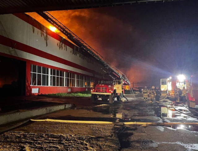 По факту пожара на Тольяттинском дверном заводе возбуждено уголовное дело