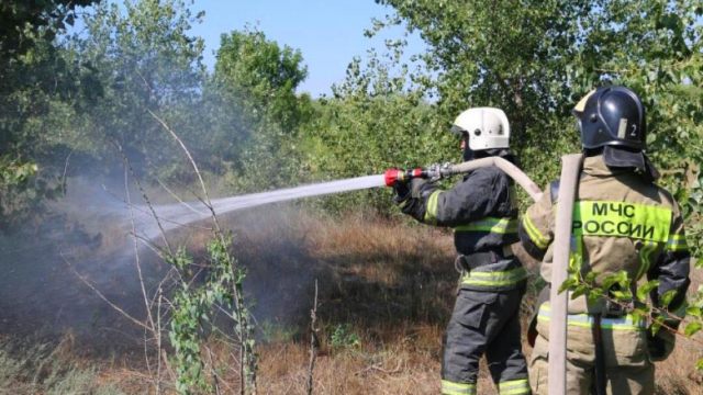 В Новгородской области введён запрет на посещение лесов из-за пожаров