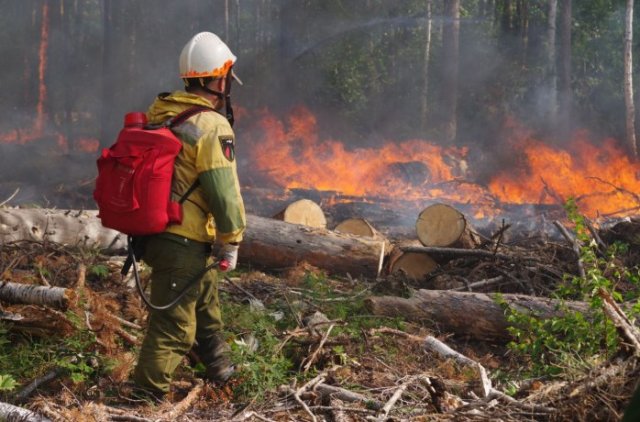 В лесничествах Иркутской области объявлено о начале пожароопасного сезона