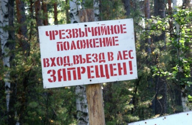 Ограничения посещения лесов в Калининградской и Волгоградской областях