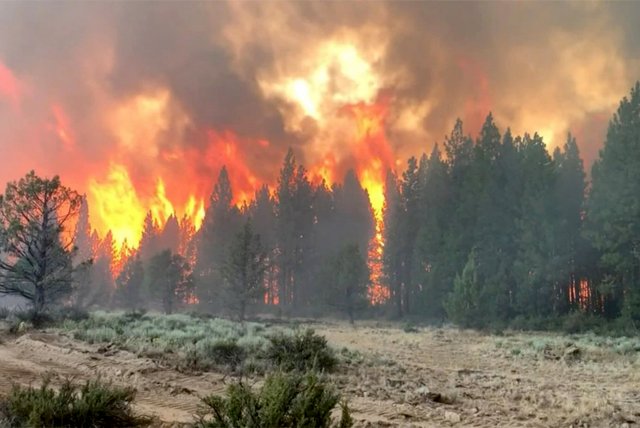 Города Среднего Запада США окутаны канадским смогом от лесных пожаров, что требует принятия мер безопасности