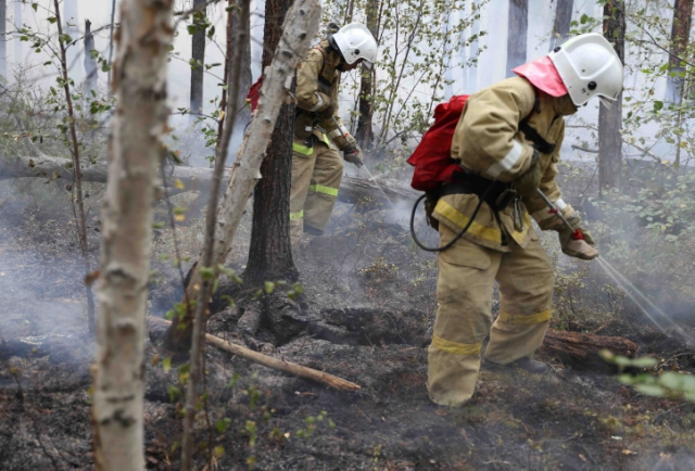 В Югре объявлено чрезвычайное положение из-за бушующих лесных пожаров