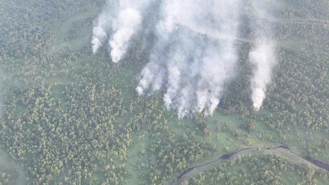 Дымом от лесных пожаров накрыло Амурскую область