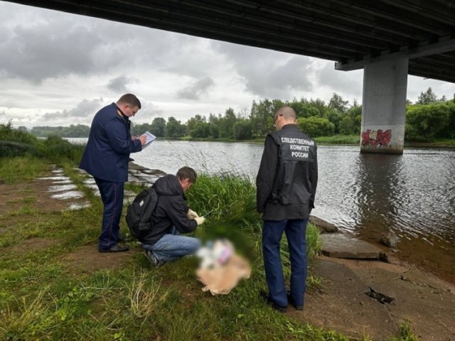 Арестована мать, утопившая малолетнюю дочь в реке Ярославль