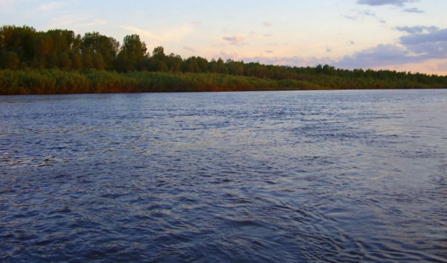 Дети скончались утонув в реке Чумыш на Алтае