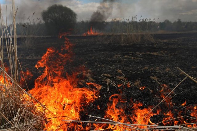 Волгоградская область усиливает меры пожарной безопасности в сложных погодных условиях