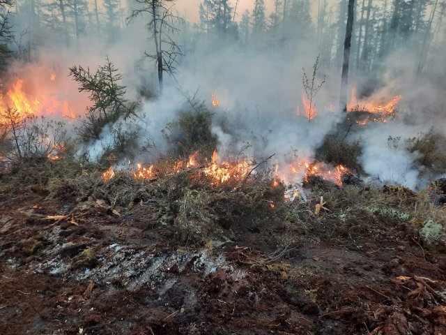 Около сотни лестных пожаров зафиксированы в Якутии