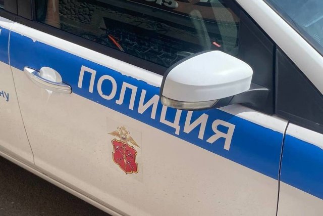 Школьник в Санкт-Петербурге скончался, утонув в пруду