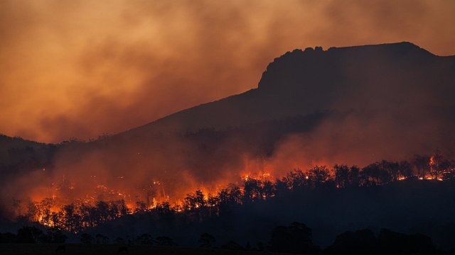 В результате природных пожаров на Гавайях скончались около 80 человек