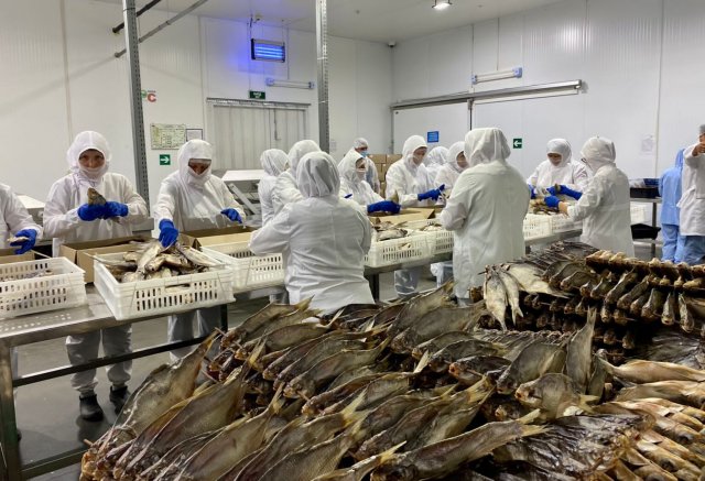 Крупный производитель рыбных деликатесов снова работает в Астраханской области