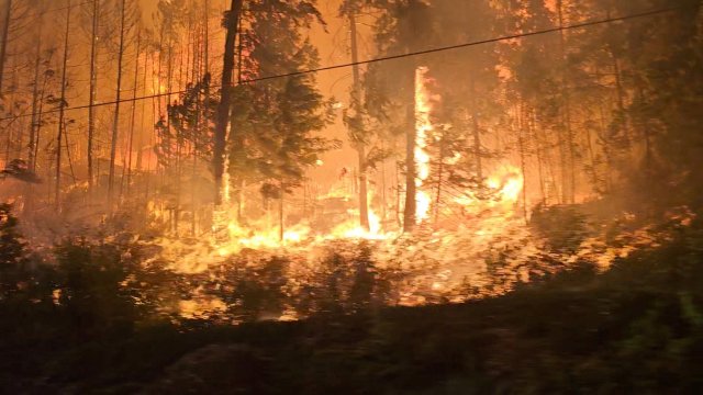 Канадский город вынужден эвакуироваться из-за лесного пожара