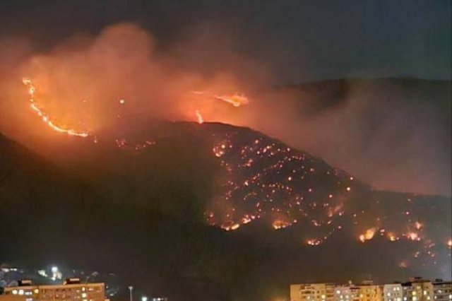 Ликвидация лесного пожара завершена в Геленджике
