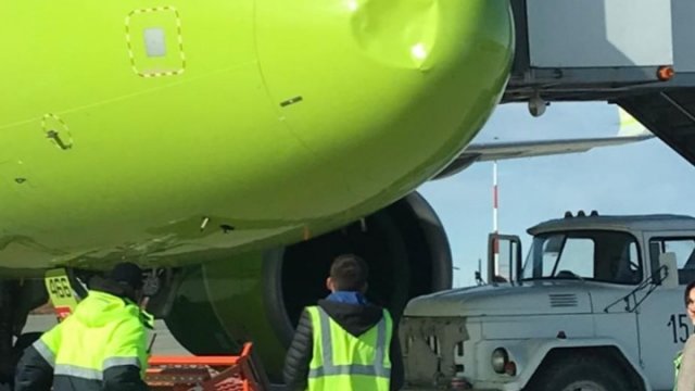 Airbus A320 столкнулся с птицей: инцидент в аэропорту Анадыря