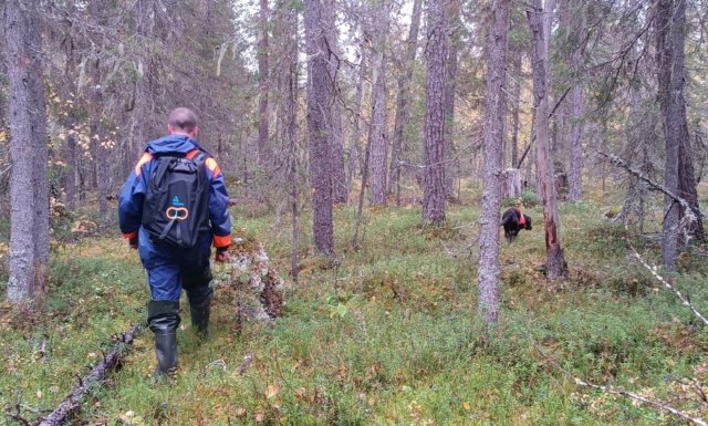 Архангельские спасатели нашли пропавшего подростка, который пошел за грибами